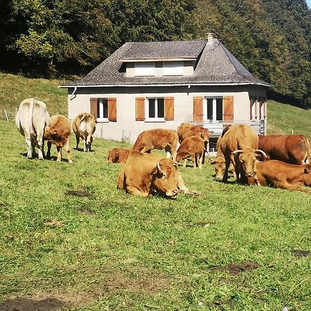 Vila Tourmalet Campan Exteriér fotografie